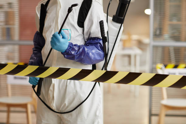 Professional Biohazard technician working in Mentone, CA